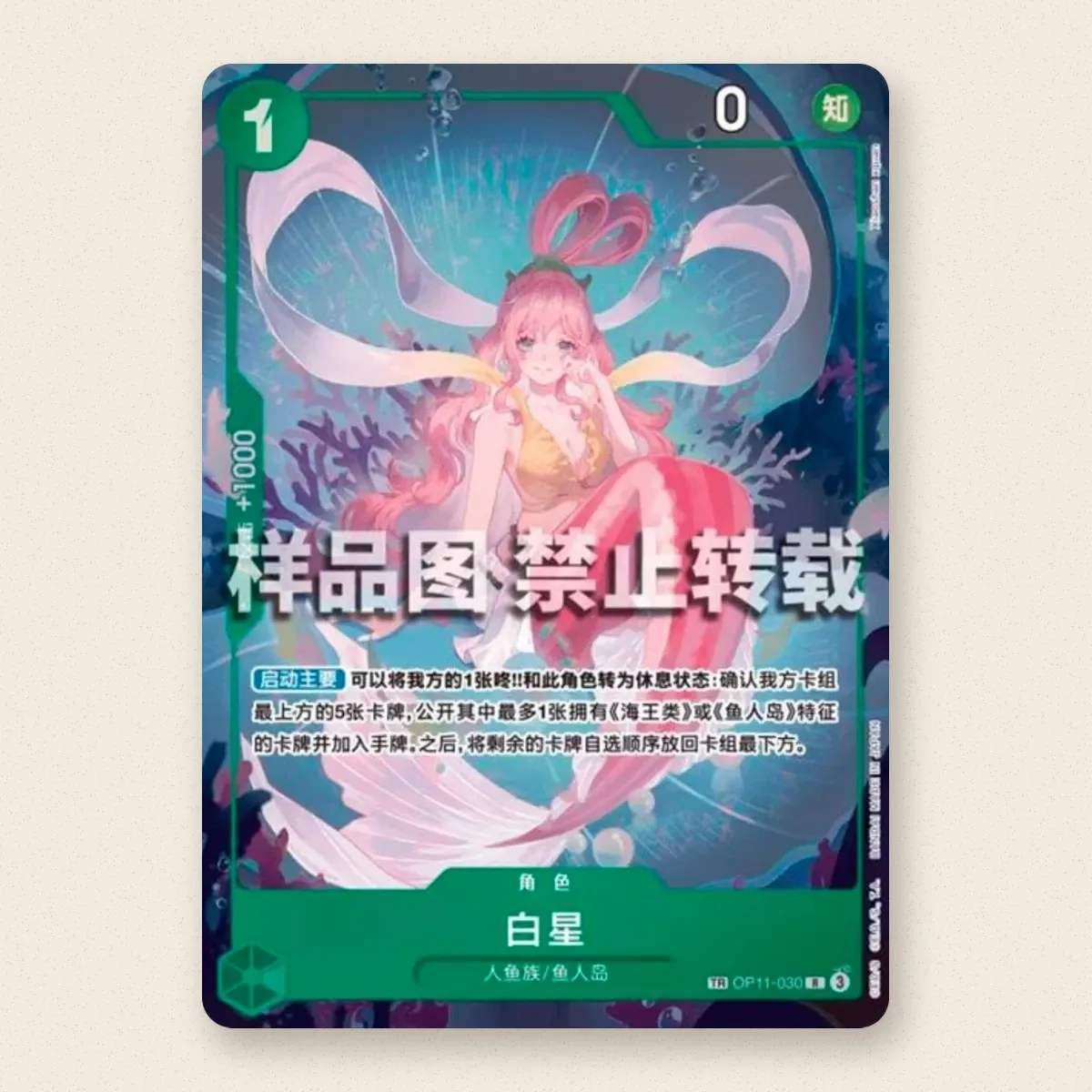 Foto 1 de 1: Shirahoshi TR (OP11-030)